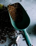 Garden Mindset - Part 4: Understand Your Soil