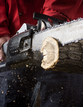 Chainsaw Safety Class
