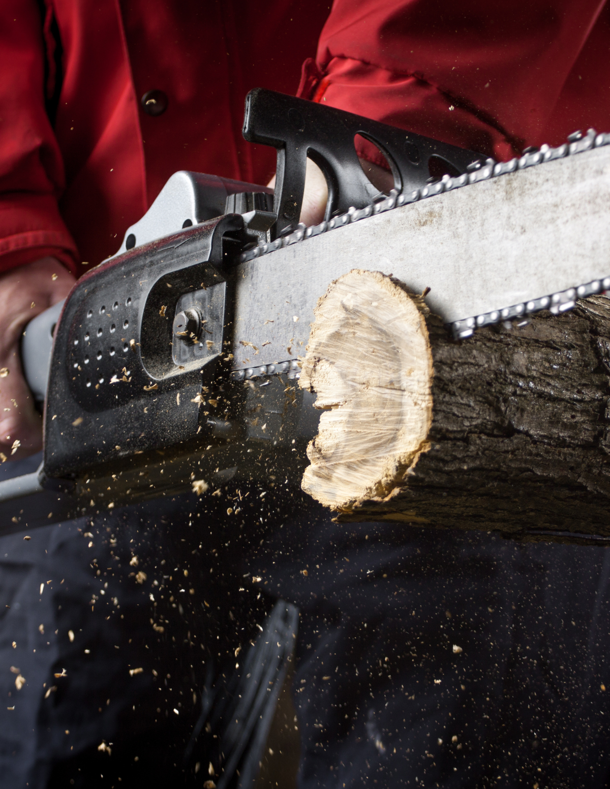 Chainsaw Safety Class